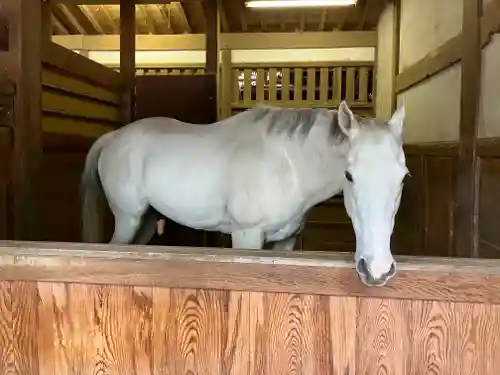 金刀比羅宮(香川県)