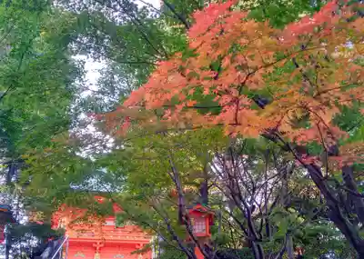 穴八幡宮(東京都)
