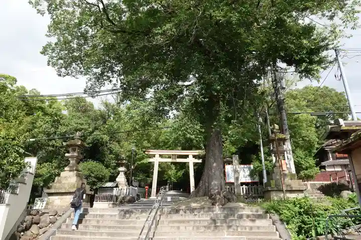 枚岡神社のその他建物