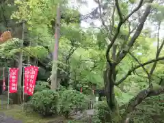 今熊野観音寺(京都府)