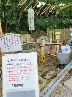 千歳神社の手水舎