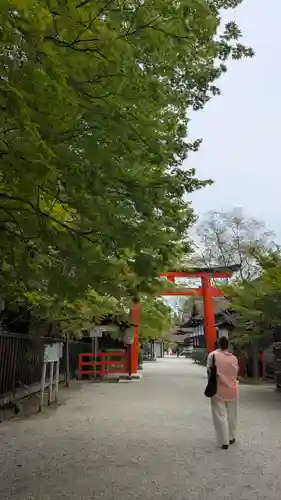 賀茂御祖神社（下鴨神社）(京都府)