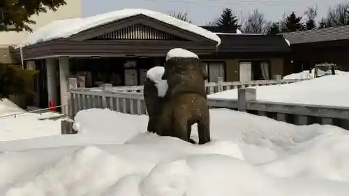 美瑛神社の狛犬