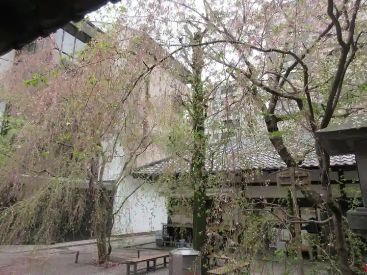 頂法寺(六角堂)(京都府)
