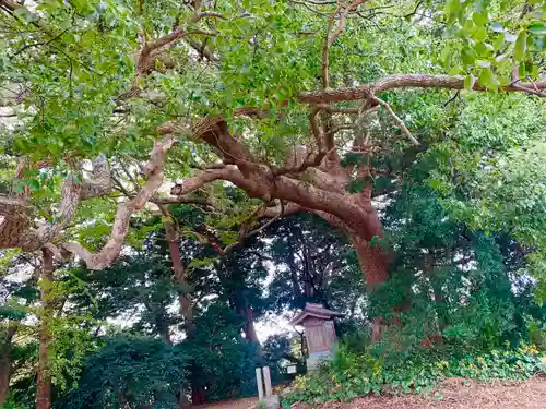 大宮皇神(福岡県)