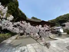 長弓寺の自然