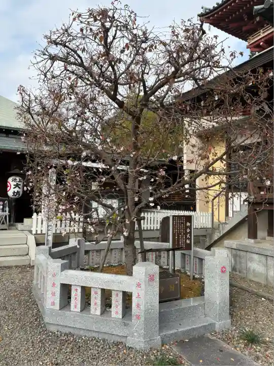 大坊本行寺(東京都)