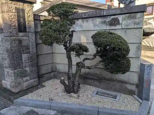 蓮久寺(東京都)