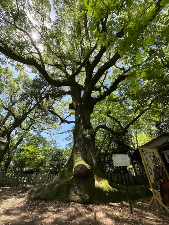 松森天満宮(長崎県)