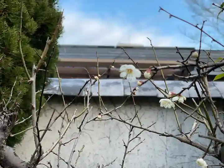 伊勢の国 四天王寺の自然