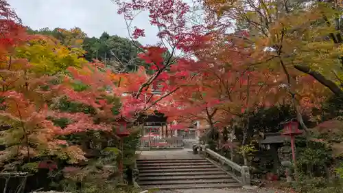 鍬山神社(京都府)