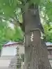 春日部八幡神社(埼玉県)