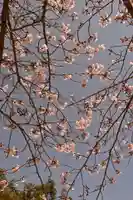 西部八幡神社(愛媛県)