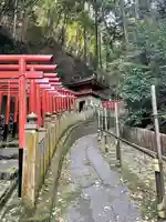 狸谷山不動院の鳥居