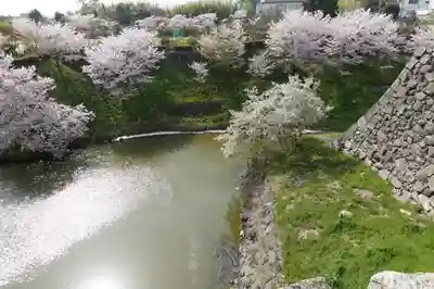 柳澤神社の周辺