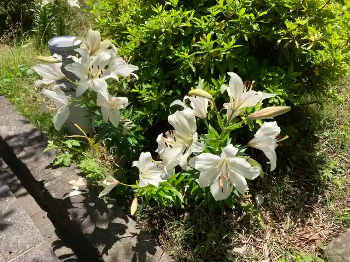伝福寺(神奈川県)