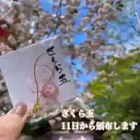 彌彦神社 (伊夜日子神社)のお守り