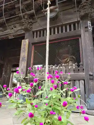 妙法寺(東京都)