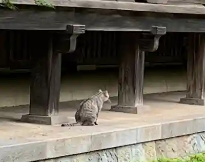 淨眞寺(東京都)