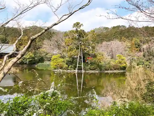 龍安寺の庭園