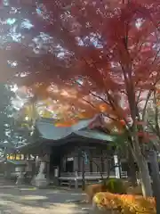 小室浅間神社(山梨県)