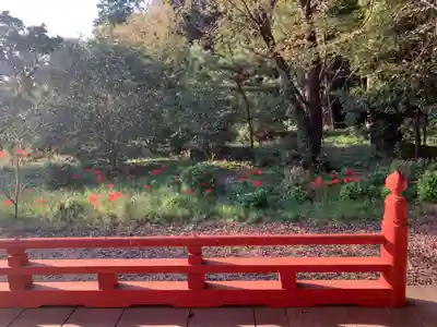 常福寺(千葉県)