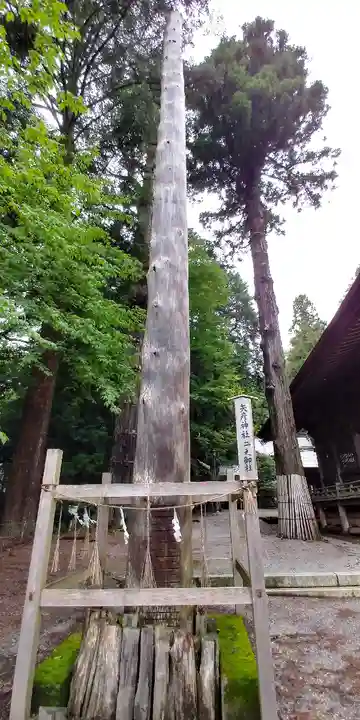 矢彦神社の自然