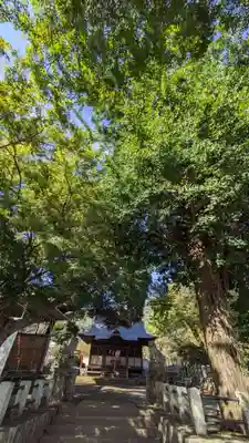 八幡社(神奈川県)