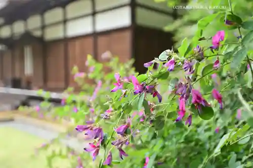横浜　西方寺(神奈川県)