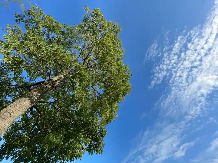 鞆江神社(明地)(愛知県)