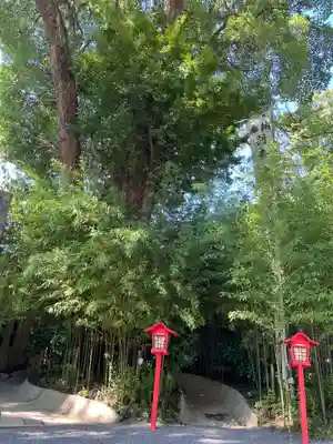 來宮神社(静岡県)