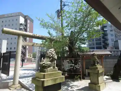 大國神社の鳥居