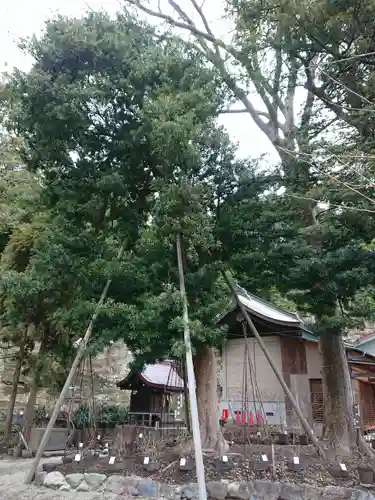 瀬戸神社の自然