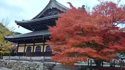 南禅寺の本殿・本堂
