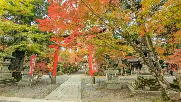 鍬山神社(京都府)