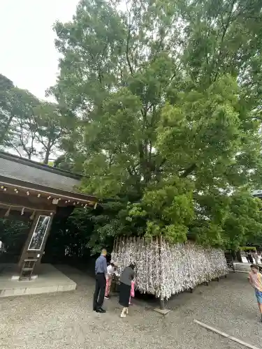 寒川神社(神奈川県)