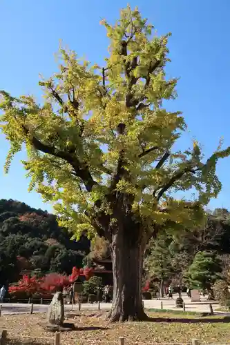 永保寺(岐阜県)