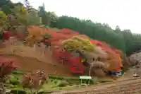 零羊崎神社の自然