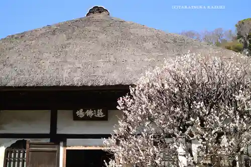円覚寺(神奈川県)