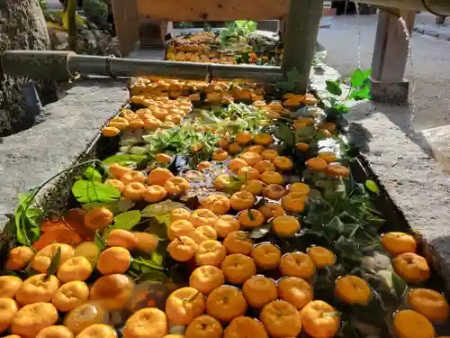 賀茂別雷神社（上賀茂神社）の手水舎