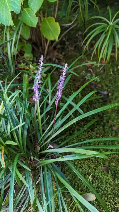 尊陽院(京都府)