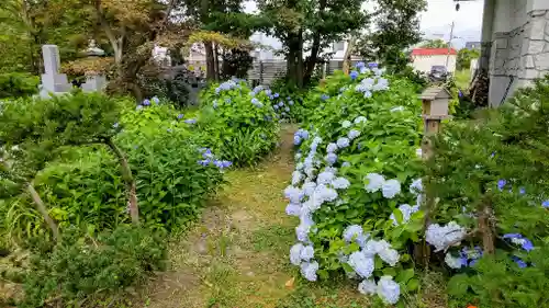 郷芳寺の庭園