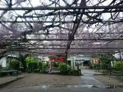徳王稲荷社・金刀比羅社の庭園