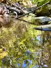 山家神社奥宮の自然