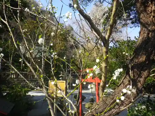 御霊神社の自然