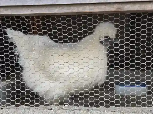 櫻木神社(東京都)