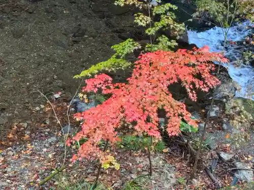 貴船神社結社(京都府)