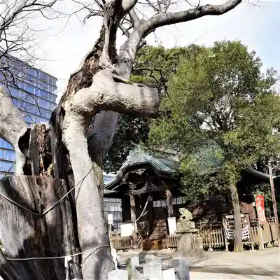 阿邪訶根神社のその他建物