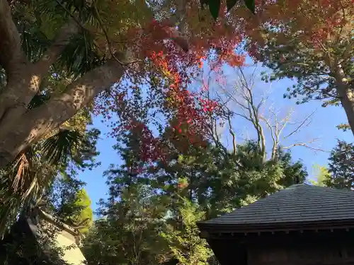 手子后神社(茨城県)