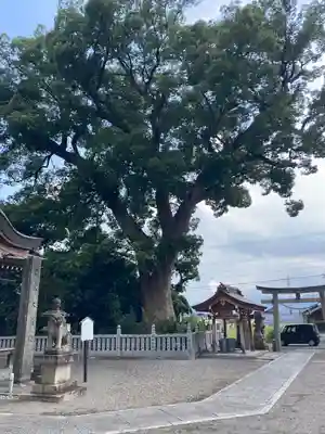 三皇神社の自然